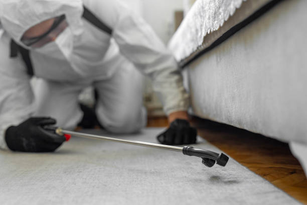 Professional Bed Bug Control technician working in Cayuga Heights, NY