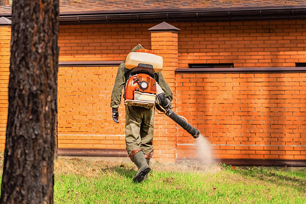 Trusted Ant Control service in Cayuga Heights, NY - Nex Pest Control